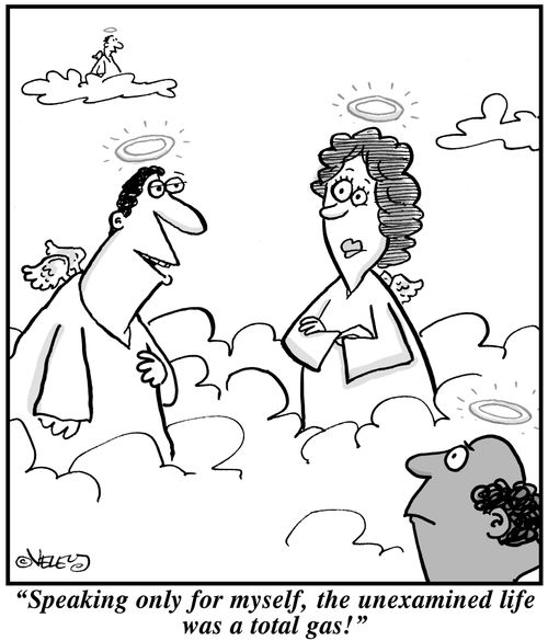 "Speaking only for myself, the unexamined life was a total gas!"