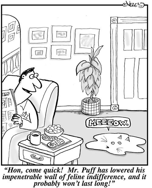 "Hon, come quick! Mr. Puff has lowered his impenetrable wall of feline indifference, and it probably won't last long!"