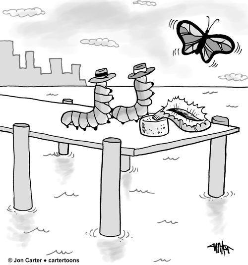 Caterpillar morphs into butterfly and escapes from mafia caterpillars.