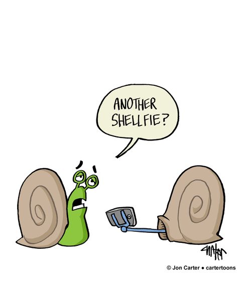 "Another shellfie?"