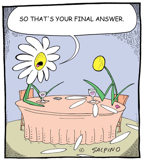 "So that's your final answer."