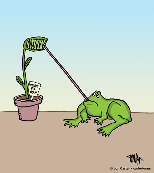 Frog's tongue is stuck in a Venus flytrap.
