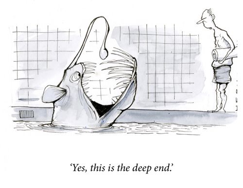 'Yes, this is the deep end.'