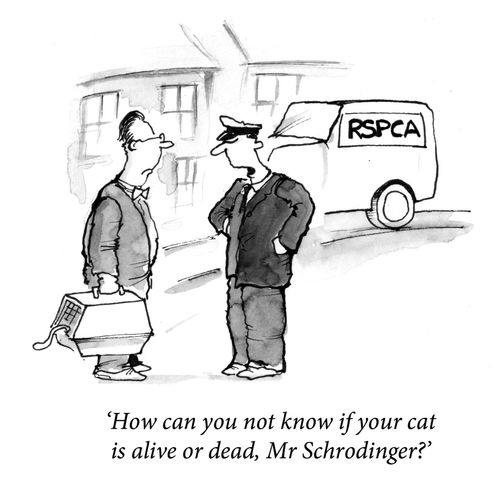'How can you not know if your cat is dead or alive, Mr Schrodinger?'