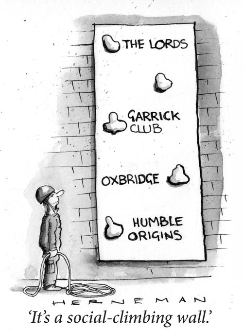 'It's a social-climbing wall.'