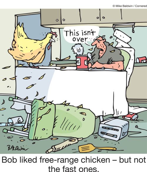 Bob liked free-range chicken - but not the fast ones.
