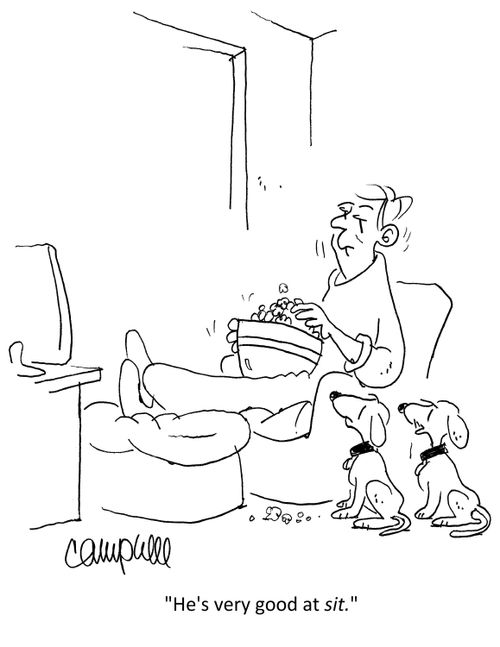 "He's very good at sit."