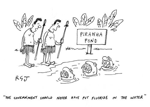 'The government should never have put fluoride in the water.'
