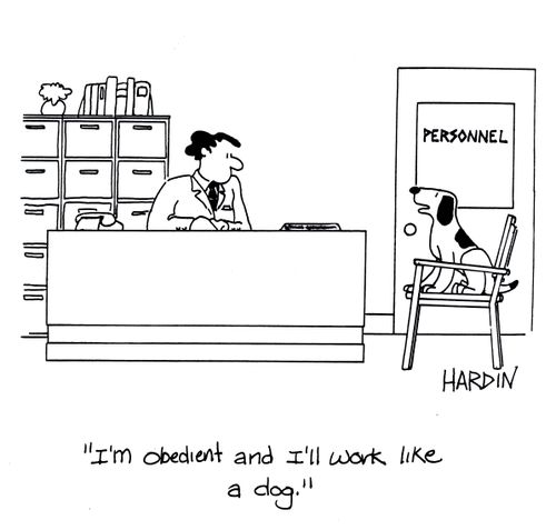 'I'm obedient and I'll work like a dog.'