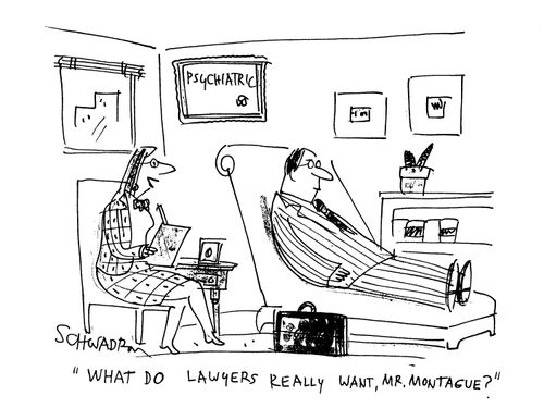 'What do lawyers really want, Mr. Montague?'