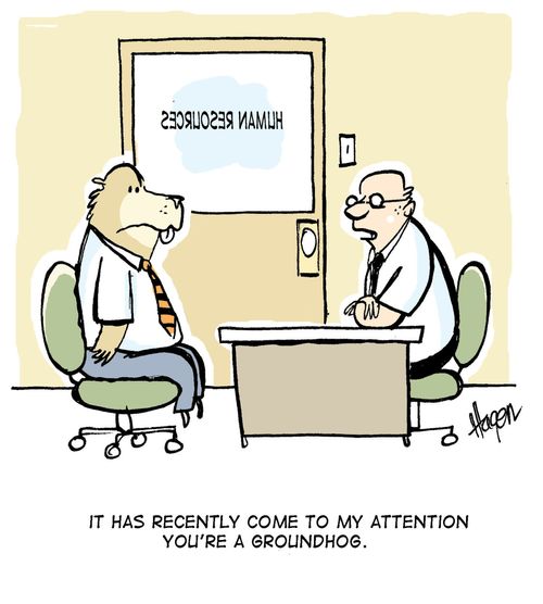 'It has recently come to my attention you're a groundhog.'