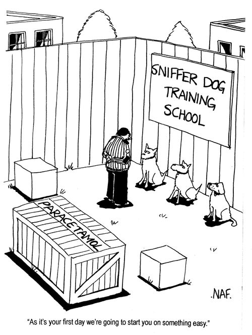 'As it's your first day we're going to start you on something easy.'