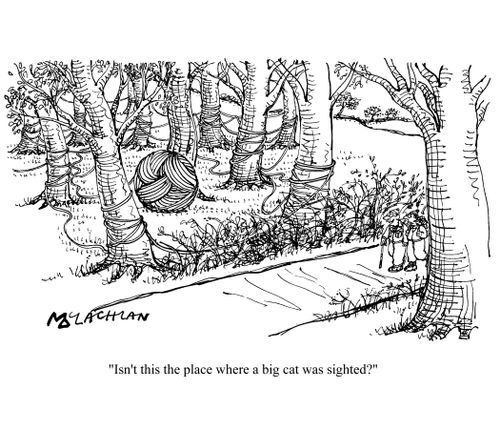 'Isn't this the place where a big cat was sighted?'