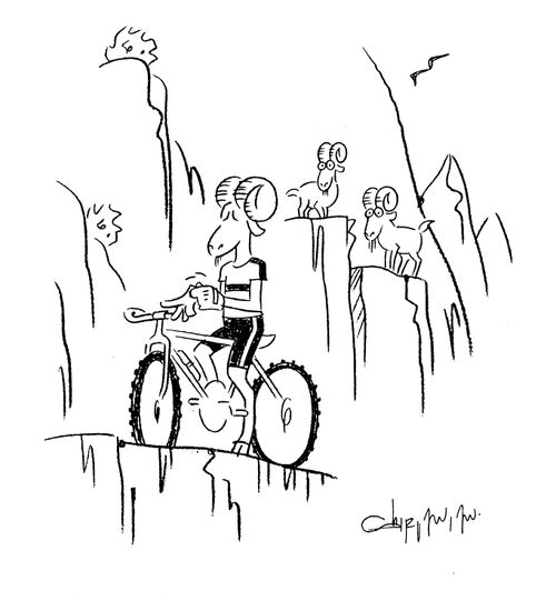 Mountain-bike Goat.