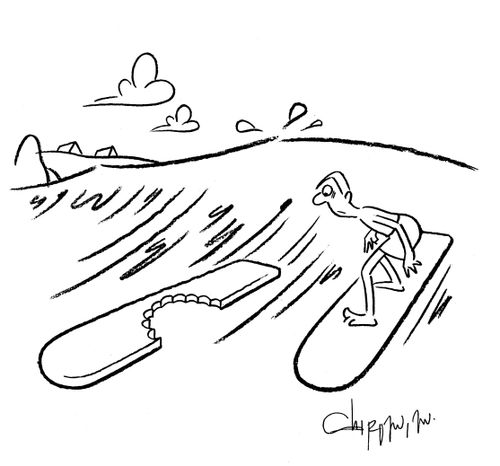 Shark-bite.