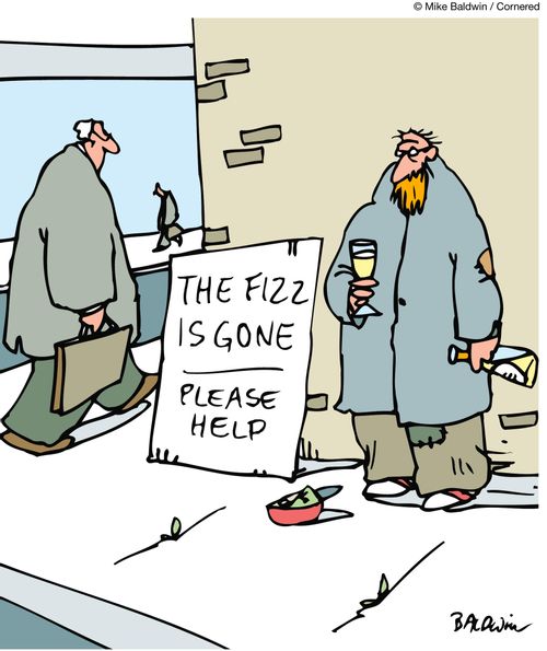The Fizz is Gone: Please Help.