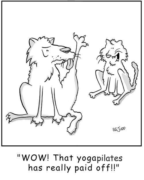 'Wow! That yogapilates has really paid off!'