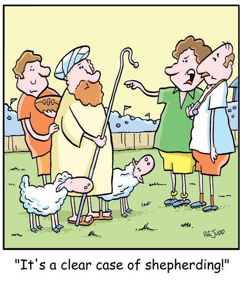 'It's a clear case of shepherding!'
