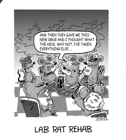 Lab Rat Rehab.
