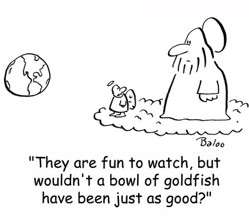 'They are fun to watch, but wouldn't a bowl of goldfish have been just as good?'