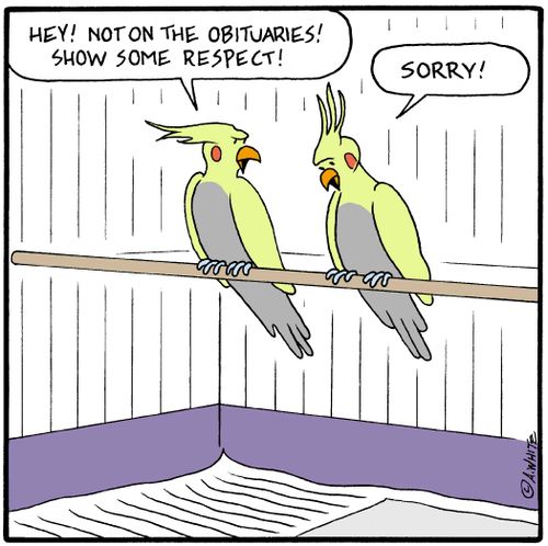 'Hey, not on the obituaries! Show some respect!'