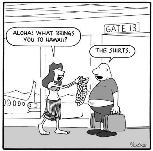 'Aloha! What brings you to Hawaii?' 'The shirts.'