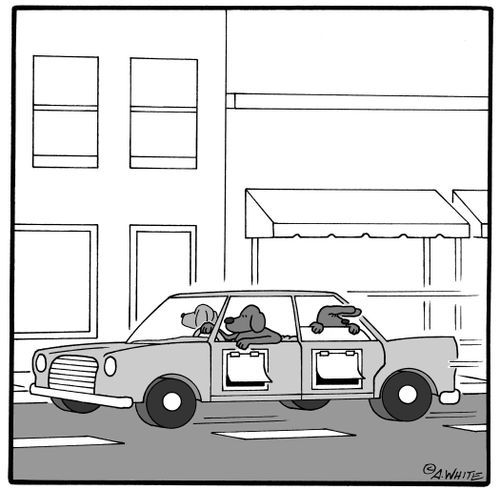 Car Dog-Doors.