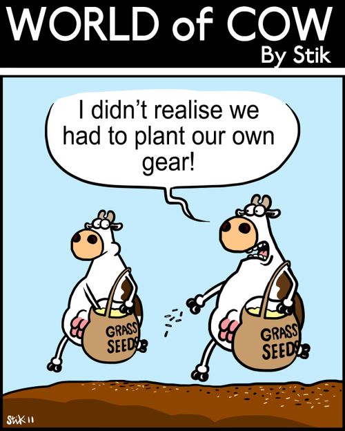 'I didn't realise we had to plant our own gear!'