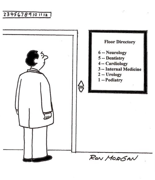 Medical floor directory follows body parts.