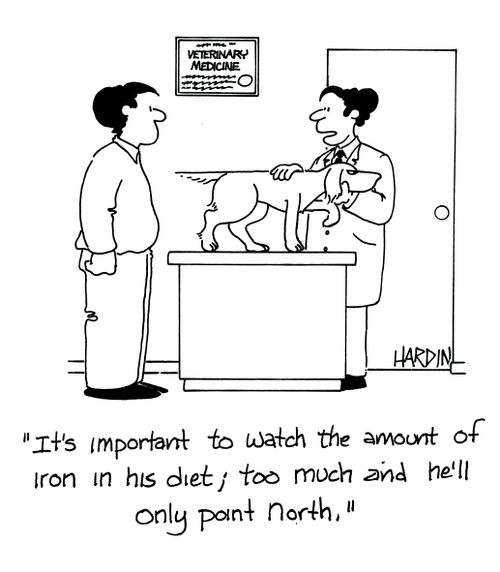 'It's important to watch the amount of iron in his diet, too much and he'll only point north.'