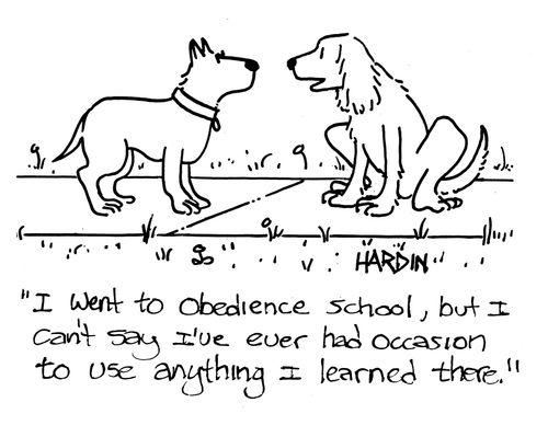 'I went to obedience school, but I can't say I've ever had occasion to use anything I learned there.'