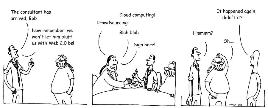 The Web 2.0 consultant.