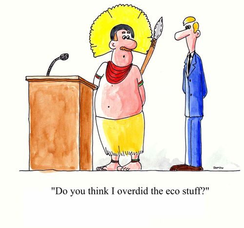 'Do you think I overdid the eco stuff?'