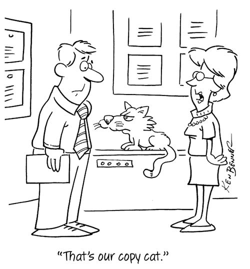 "That's our copy cat."