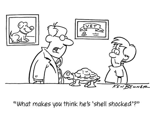 "What makes you think he's 'shell shocked'?"