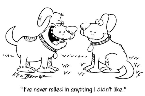 "I've never rolled in anything I didn't like."
