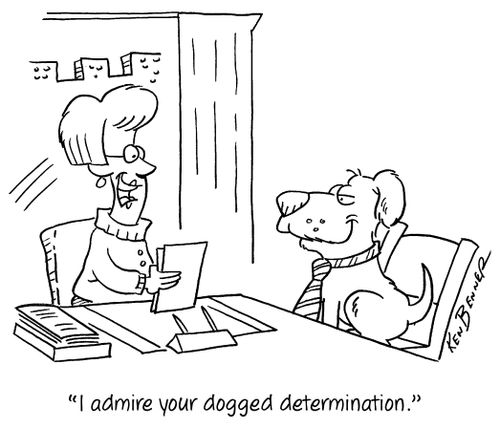 "I admire your dogged determination."