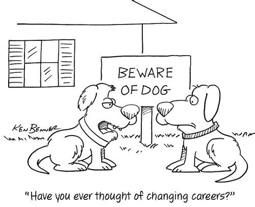 "Have you ever thought of changing careers?"