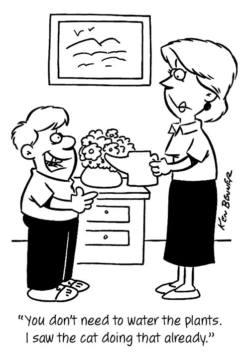 "You don't need to water the plants. I saw the cat doing that already."