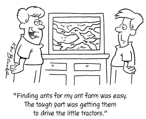 "Finding ants for my ant farm was easy. The tough part was getting them to drive the little tractors."