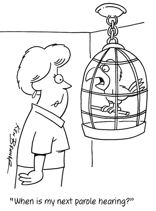 "When is my next parole hearing?"