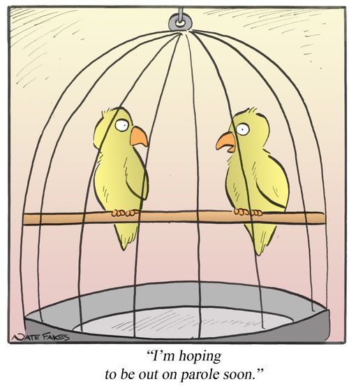 "I'm hoping to be out on parole soon."