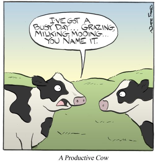 A Productive Cow