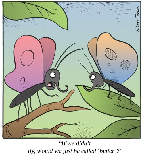 "If we didn't fly, would we just be called 'butter'?"