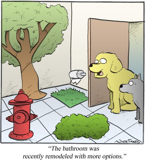 "The bathroom was recently remodeled with more options."