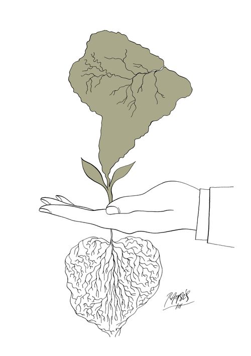Seed of Peace