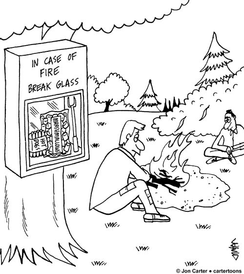 Emergency box in woods contains supplies for a campfire.