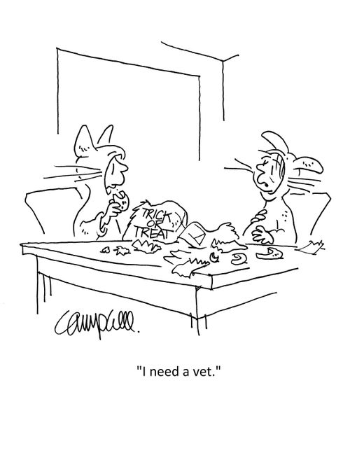 "I need a vet."
