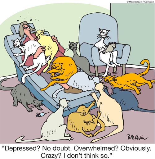 "Depressed? No doubt. Overwhelmed? Obviously. Crazy? I don't think so."