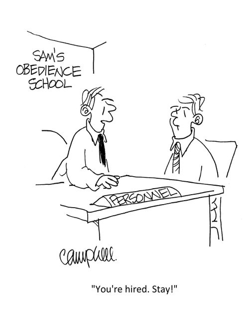 "You're hired. Stay!"
